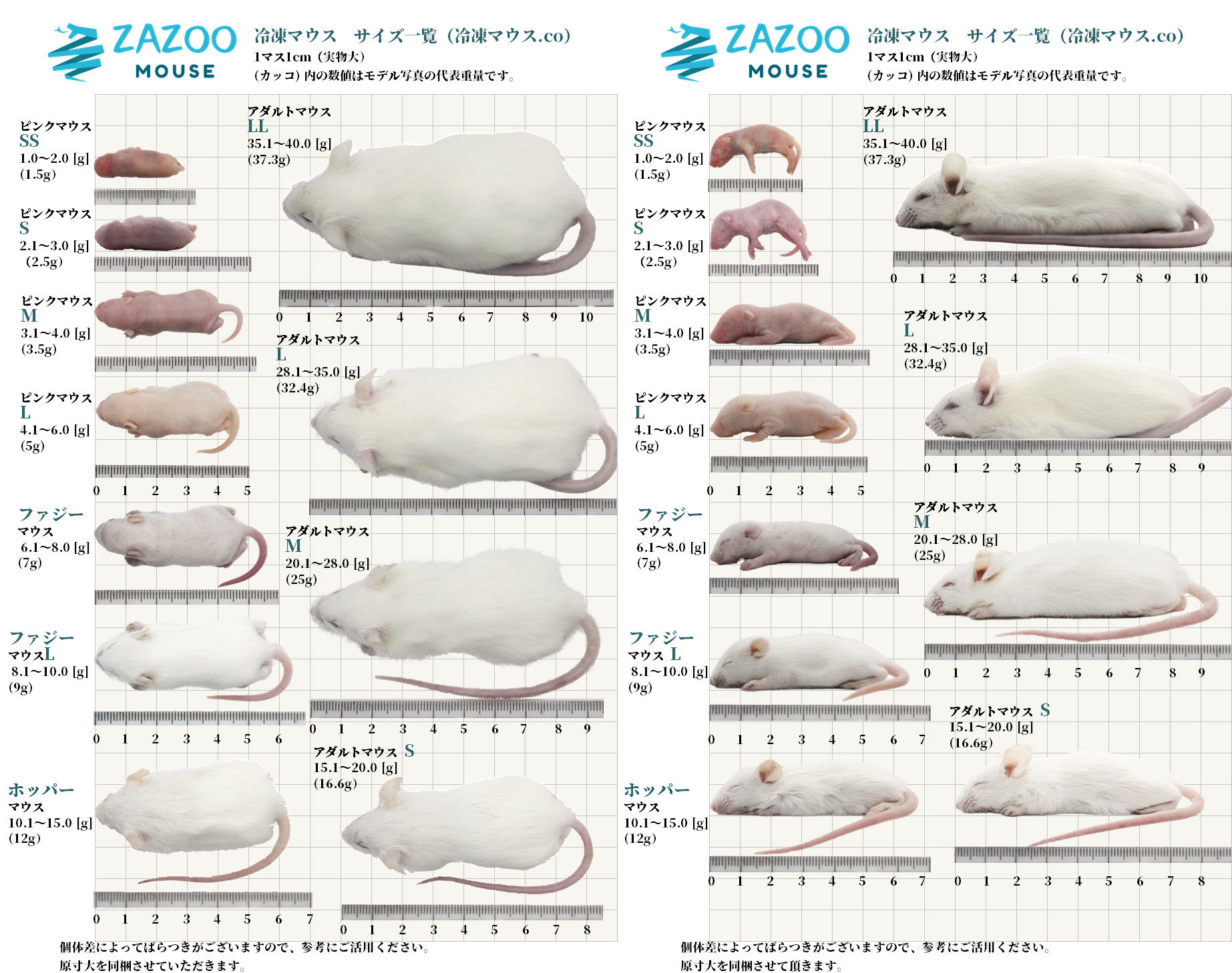 ZAZOO 冷凍マウスドットコム あなたのペットがいつまでも健康でありますように